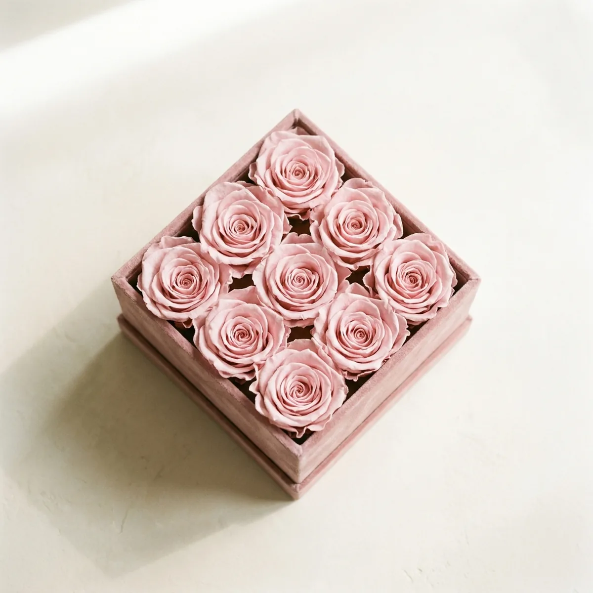INFINITY BOX &mdash; Konservierte Rosen