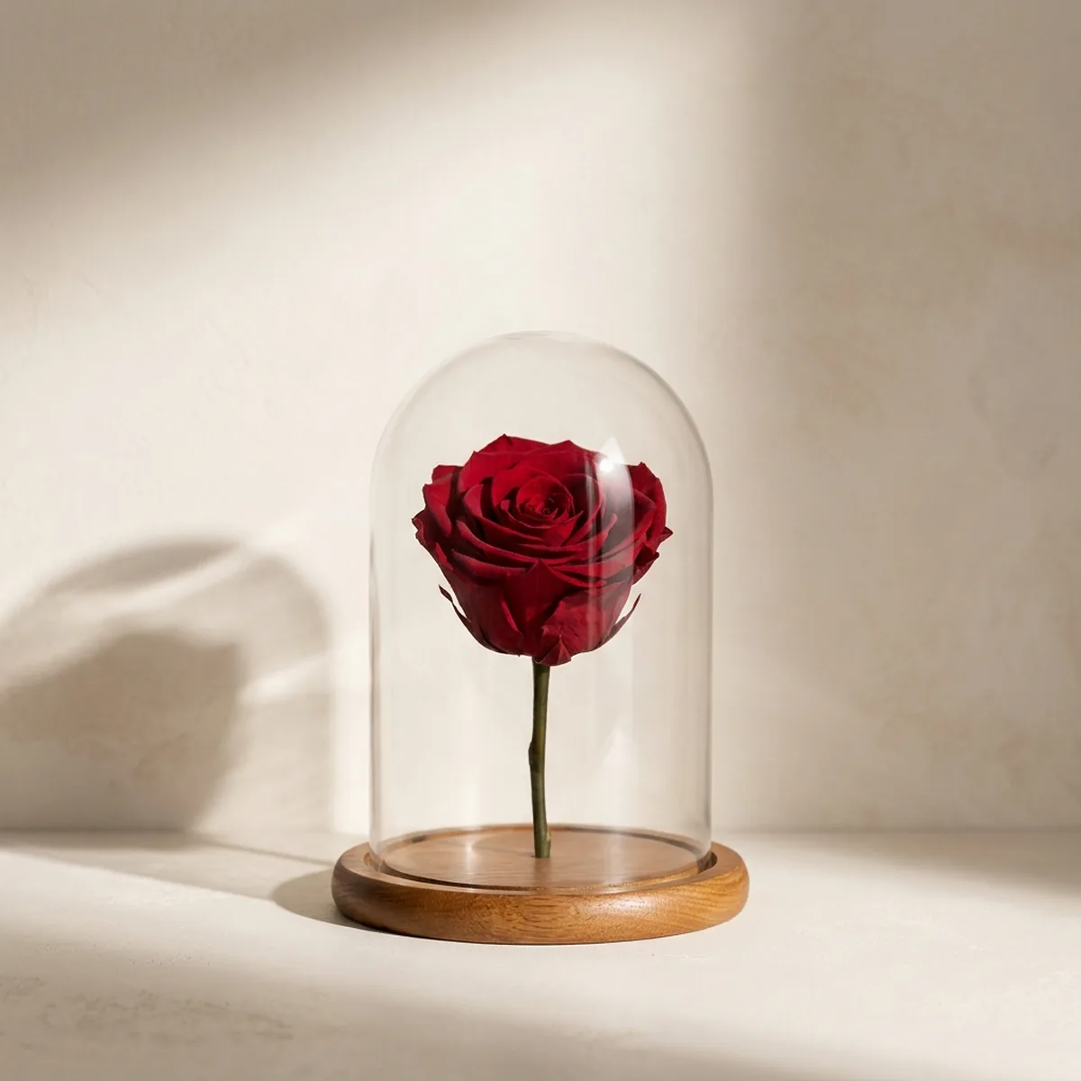 INFINITY D&Ocirc;ME &mdash; Konservierte Rose
