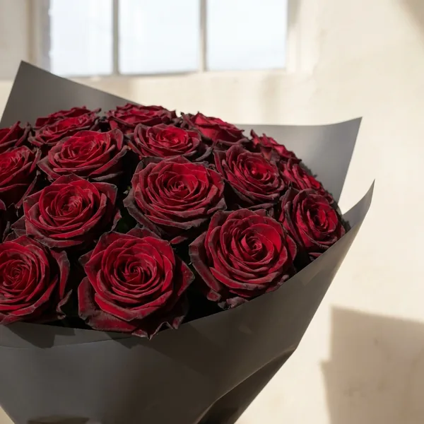 Nahaufnahme Black Baccara